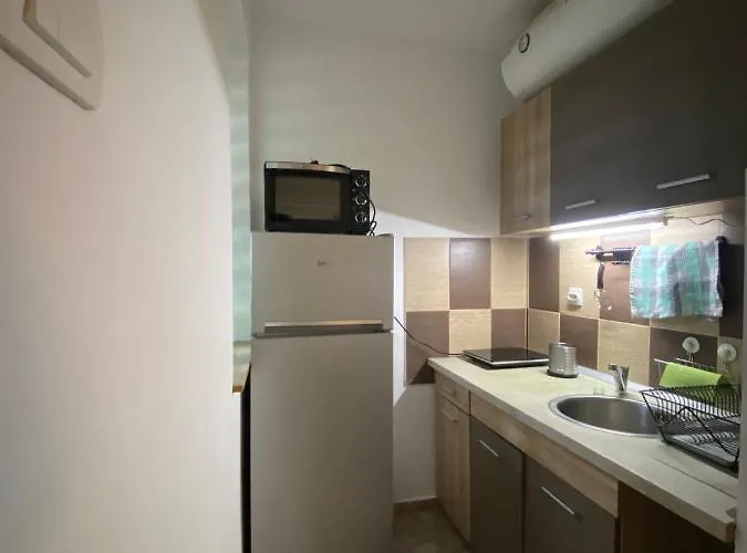 43 公寓 贝尔格莱德