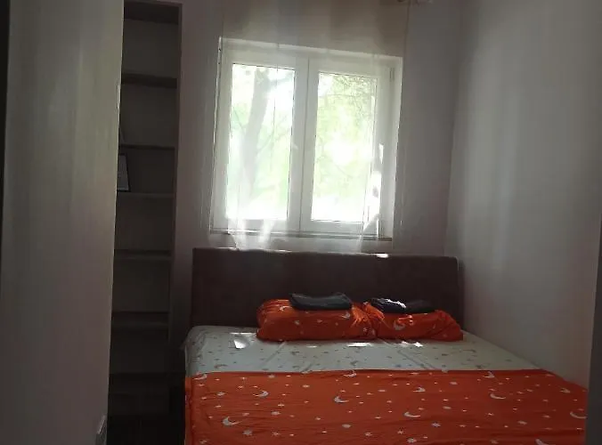 43 公寓 贝尔格莱德